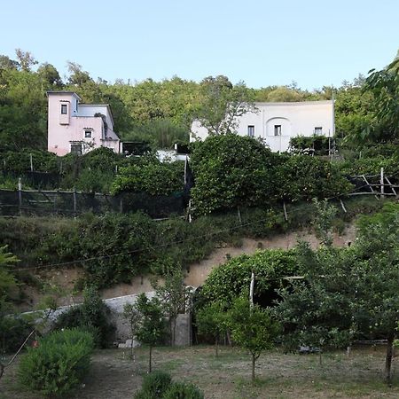 트라몬티 Pietra Rosa B&B 외부 사진