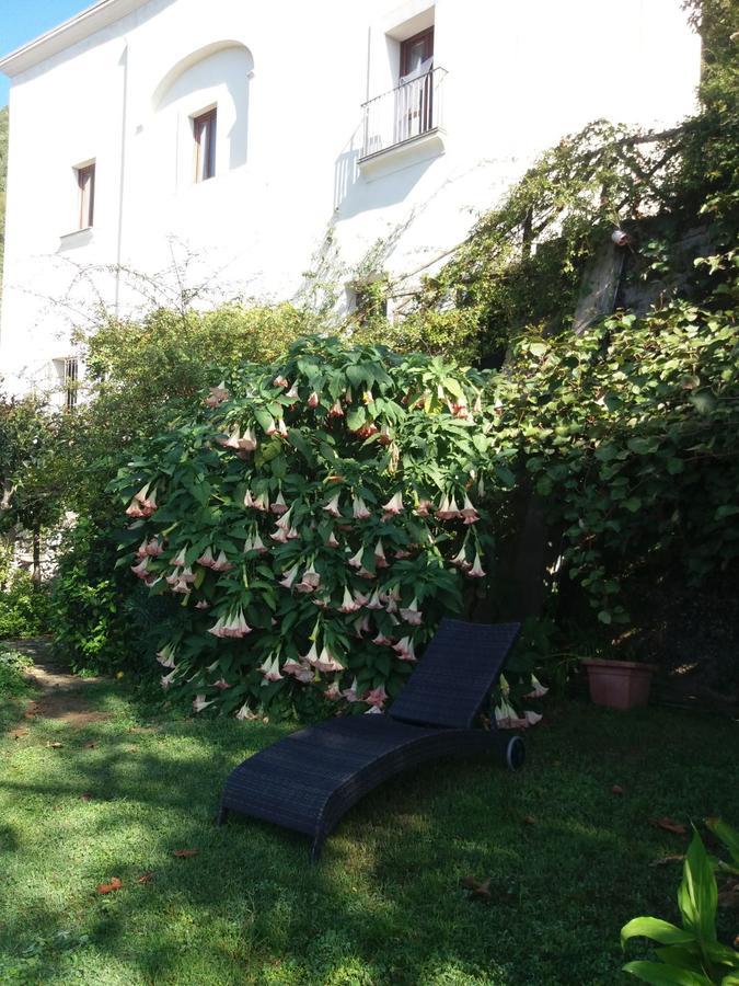 트라몬티 Pietra Rosa B&B 외부 사진