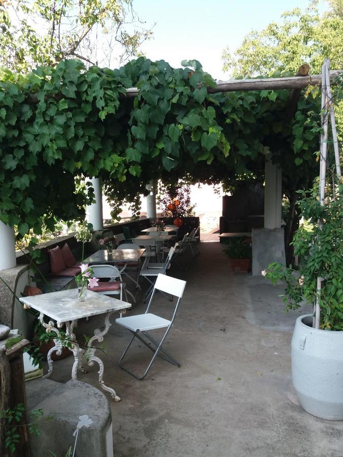 트라몬티 Pietra Rosa B&B 외부 사진